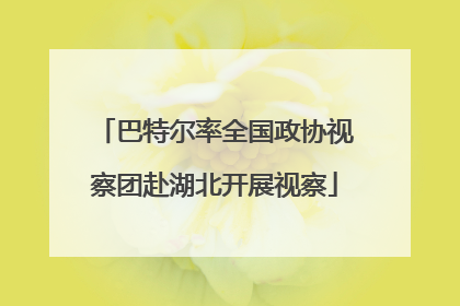 巴特尔率全国政协视察团赴湖北开展视察